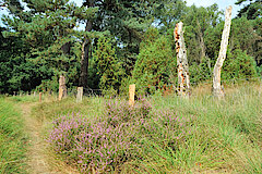  © Biologische Station im Kreis Wesel e.V.