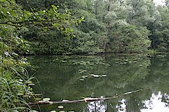 Untersee © Biologische Station Bonn / Rhein-Erft