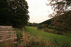 Sanfte Bewirtschaftung im Gebiet © Regionalforstamt Siegen-Wittgenstein