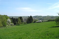 Grünland im Teutoburger Wald © Biologische Station Gütersloh-Bielefeld