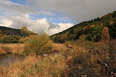 Das Grubengelände © Regionalforstamt Siegen-Wittgenstein