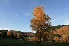 Malerische Ausblicke © Regionalforstamt Siegen-Wittgenstein