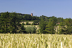 Lattbergturm bei Entrup © Landschaftsstation im Kreis Höxter e.V.