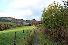 Wanderweg vorbei an Weiden © Michaela Fedeli