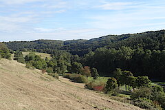 Gillesbachtal © Biologische Station im Kreis Euskirchen e.V.