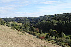 Gillesbachtal © Biologische Station im Kreis Euskirchen e.V.