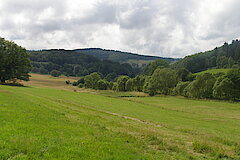 Wälder, Wiesen, Bäche und Höhenzüge © Michael Gertz