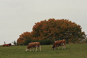 Landschaftspfleger bei der Arbeit