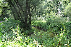 Auenlandschaft © Biologische Station Haus Bürgel