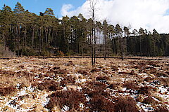 Wasserdell © Biologische Station im Kreis Euskirchen e.V.