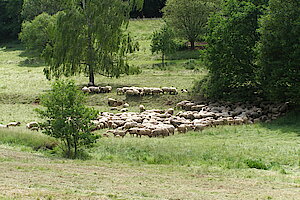 Landschaftspfleger bei der Arbeit