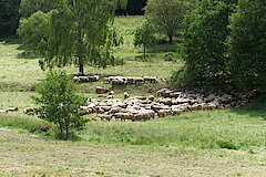 Landschaftspfleger bei der Arbeit © Michael Gertz