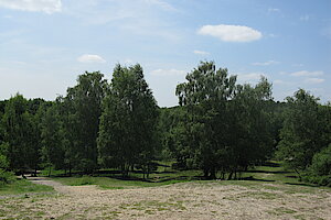 Impressionen aus der Hildener Heide