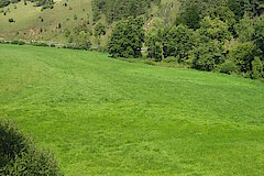 Ahraue und Kalkhänge bei Ahrhütte © Biologische Station im Kreis Euskirchen e.V.