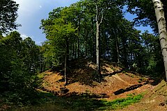 Motte Alde Berg © Naturschutzstation Haus Wildenrath