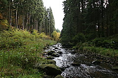 Zahlreiche Bäche fließen ins Tal © Regionalforstamt Siegen-Wittgenstein