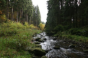 Zahlreiche Bäche fließen ins Tal