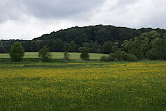 Im Rotthäuser Bachtal © NaturFreunde Düsseldorf e.V.