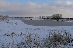 Zugefrorene Naturschutzsenke in der Düffel © Daniel Doer