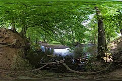 Panoramafoto Brander Wald © NABU NRW