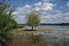 Blick auf das Reeser Meer mit seinen flachen Uferbereichen © Naturschutzzentrum im Kreis Kleve e.V.