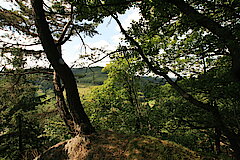 Ausblick vom Großen Bohnstein © Regionalforstamt Siegen-Wittgenstein