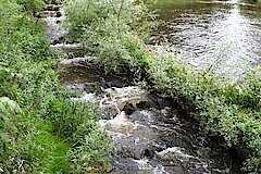 Fischtreppe © NABU-Naturschutzstation Münsterland e.V.