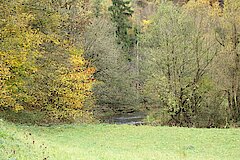 Blick auf die Wenne © Michaela Fedeli