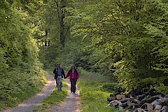 Wanderer im Buchenwald © Naturpark Diemelsee