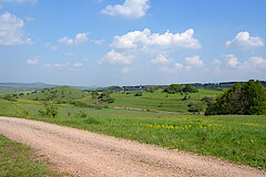 Landschaft bei Dollendorf © Biologische Station im Kreis Euskirchen e.V.