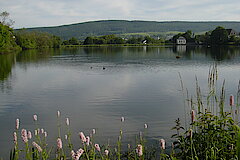 Ruhrstausee bei Olsberg © Werner Schubert