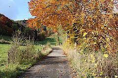 Herbstwind © Michaela Fedeli