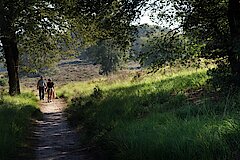 Zu Fuß Natur erleben © Arny Raeds