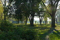 Ausgewiesener Bereich zum Ruhen und Lagern an der Siegfähre © Biologische Station Bonn / Rhein-Erft