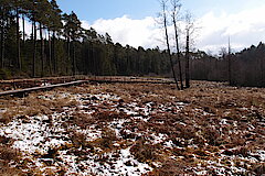 Winterimpressionen in der Wasserdell © Biologische Station im Kreis Euskirchen e.V.