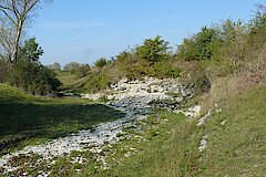 In der Pöppelsche wird das flach anstehende Kalkgestein sichtbar © Ralf Joest