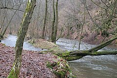 Dhünn - romantisch © Biostation-Rhein-Berg