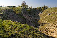 Blick in die Bleikuhlen bei Blankenrode © Landschaftsstation im Kreis Höxter e.V.