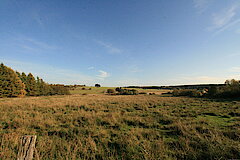 Panoramablick © Regionalforstamt Siegen-Wittgenstein