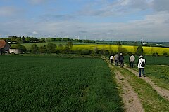 Das Netz der Feldwege kann für Wanderungen genutzt werden © Ralf Joest