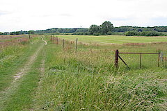 Rheinauen © Haus der Natur, Biologische Station im Rhein-Kreis Neuss e.V.