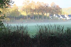 Graureihersichtung beim morgendlichen Spaziergang © Michaela Fedeli