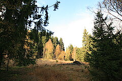 Herbst auf den Bergwiesen © Regionalforstamt Siegen-Wittgenstein