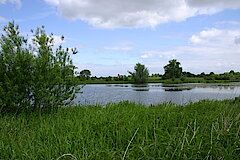 Blick auf den Bienener Altrhein bei Praest © M. Brühne