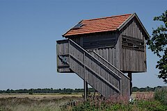 Schnepfenturm © Biologische Station Steinfurt e.V.