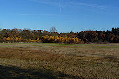 Nord-Ost-Erweiterung © F.Püchel-Wieling