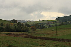 Nasse Bereiche werden von den Tieren gemieden © Regionalforstamt Siegen-Wittgenstein