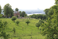 Obstwiese bei Schloss Drachenburg © Klaus Weddeling