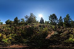 Panoramafoto der Egge © NABU NRW