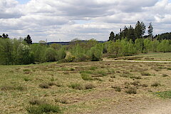 Frühling auf der Trupbacher Heide © Peter Fasel